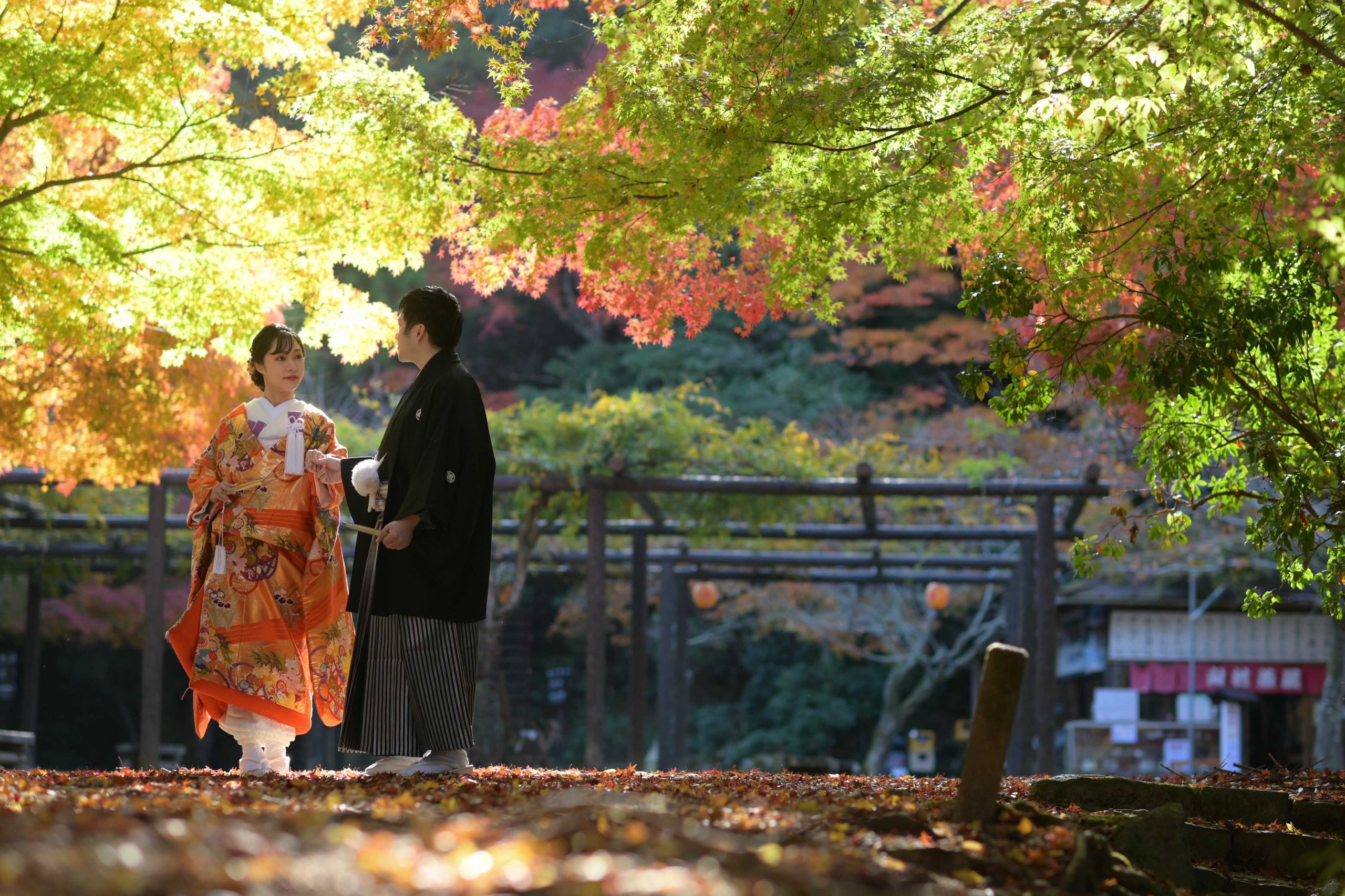 【宮島での撮影も当写真館におまかせください】